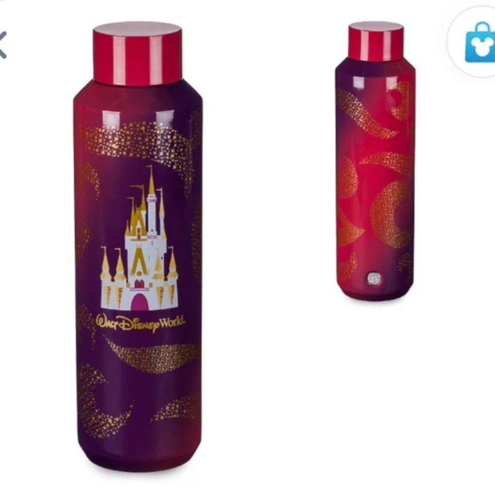 Disneyland x Starbucks Sleeping Beauty Castle Stainless Bottle - Pink/Purple